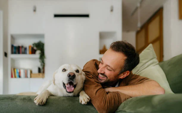 A smiling man relaxing on a green sofa with his happy white Labrador at home