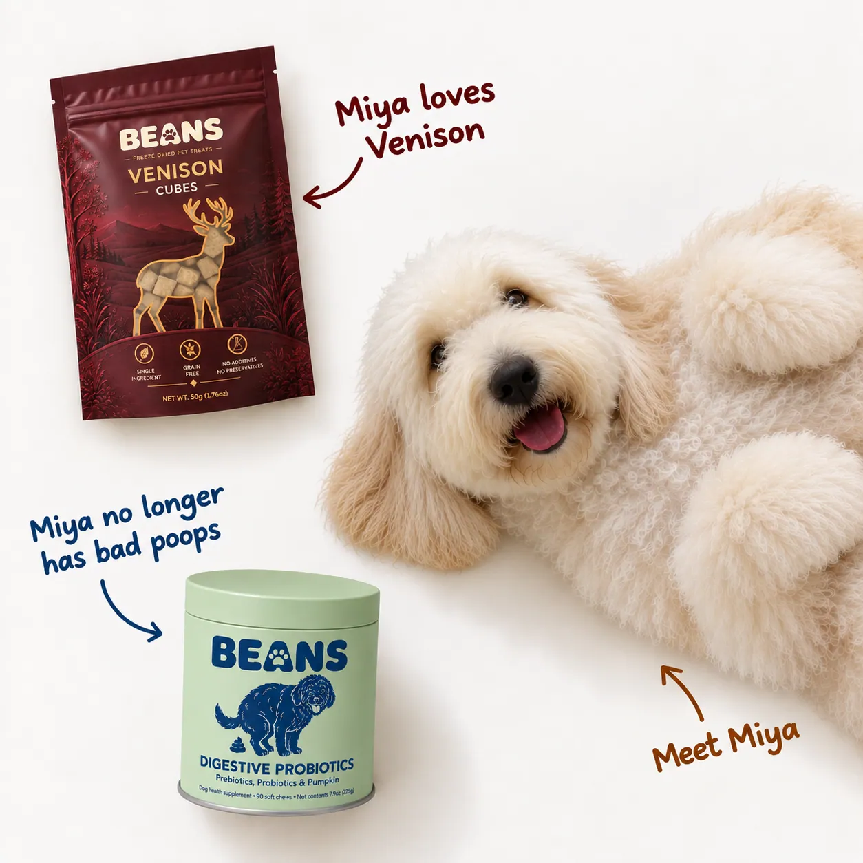 Miya the Goldendoodle with BEANS Venison Cubes treats and Digestive Probiotics supplement