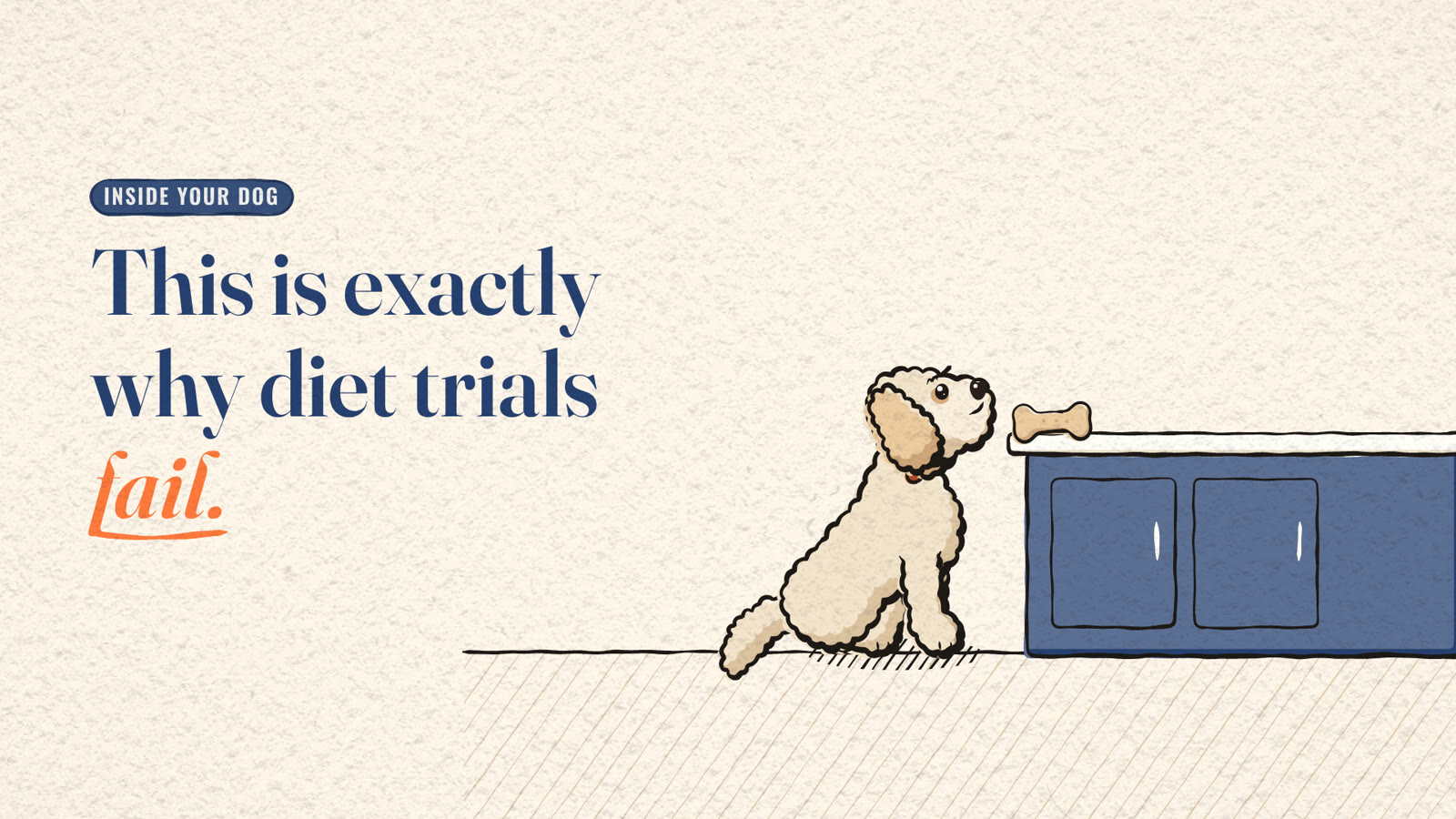Cartoon Miya, a cream Goldendoodle drawn in cel style, sitting at a kitchen counter with her nose stretched up at a chicken treat on the counter edge, beside the headline 'This is exactly why diet trials fail.'