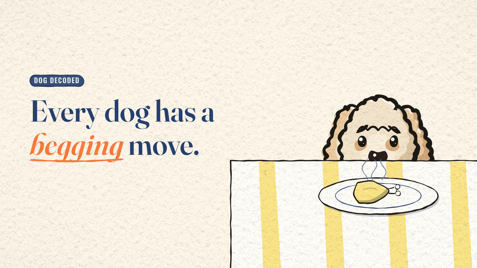 Cartoon Miya the dog peeking over the edge of a dinner plate with a drumstick, beside the title 'Every dog has a begging move.'