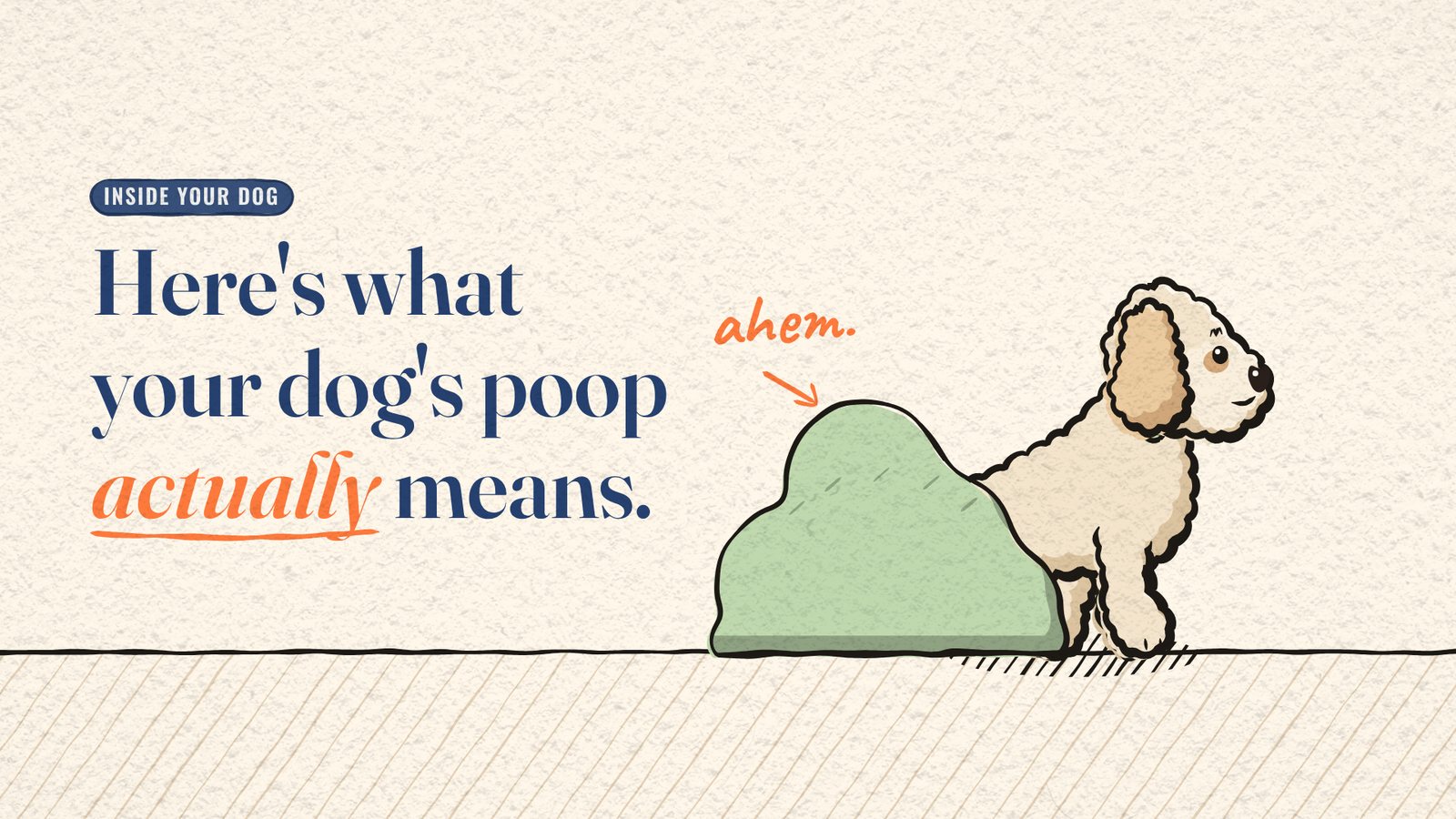 Cartoon Miya the dog behind a green bush with an 'ahem.' note, beside the title 'Here's what your dog's poop actually means.'