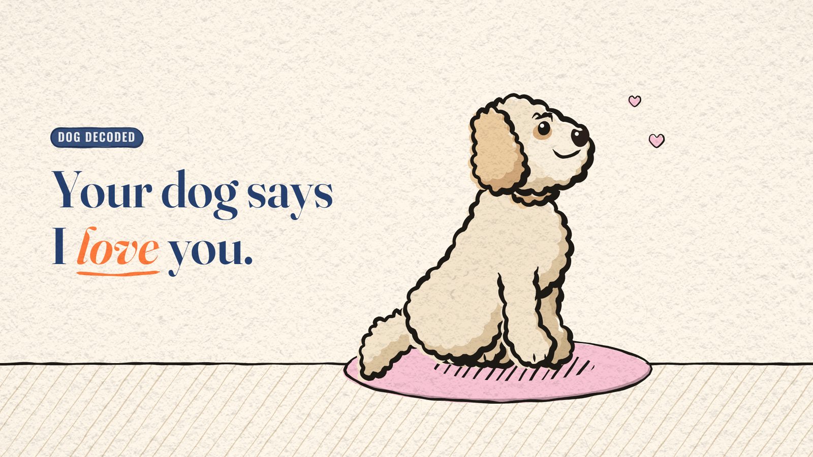 Cartoon Miya the dog sitting on a pink rug gazing up with two small hearts, beside the title 'Your dog says I love you.'