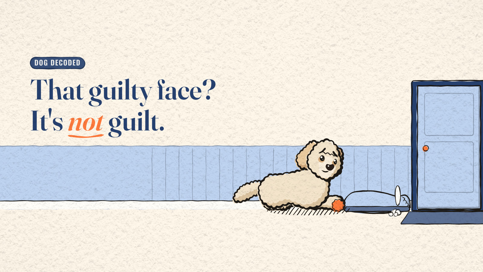Cartoon Miya the dog lying in a blue-panelled hallway beside a chewed slipper by the front door, looking back with worried brows, next to the title 'That guilty face? It's not guilt.'