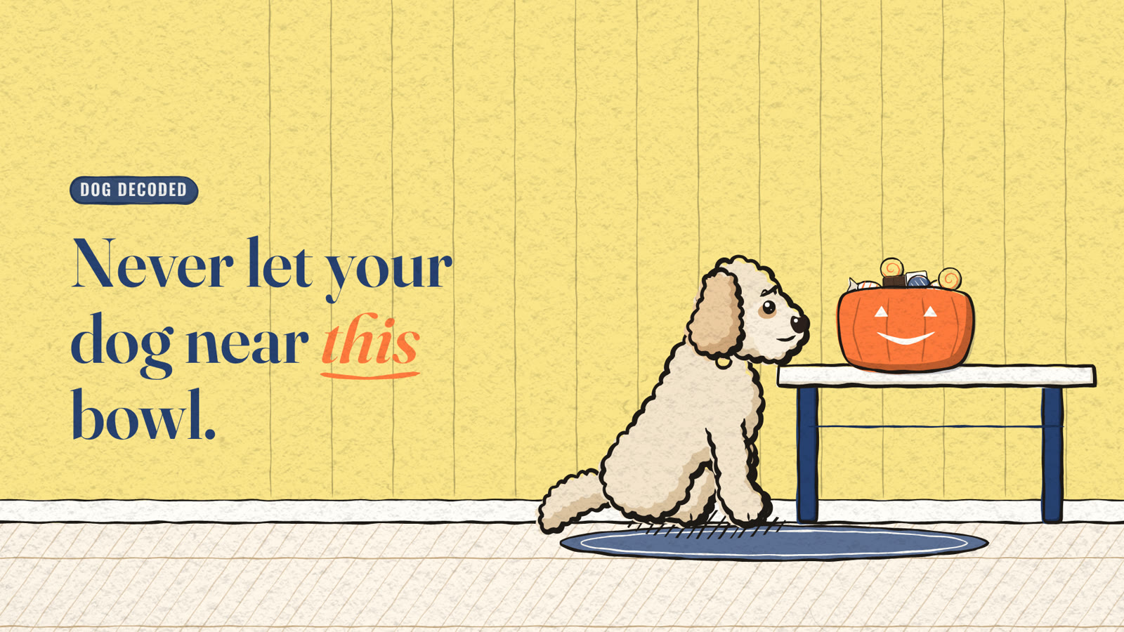 Cel illustration of a cream Goldendoodle nose-nudging a carved pumpkin sweet bowl across a coffee table, beside the headline Never let your dog near this bowl.