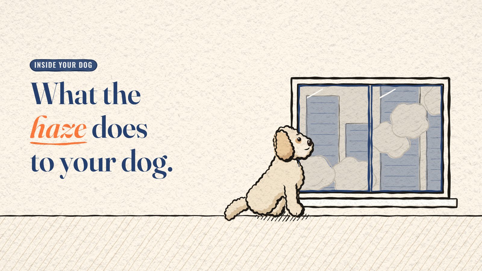 Cartoon Miya the dog sitting at a window looking out at a hazy city, beside the title 'What the haze does to your dog.'