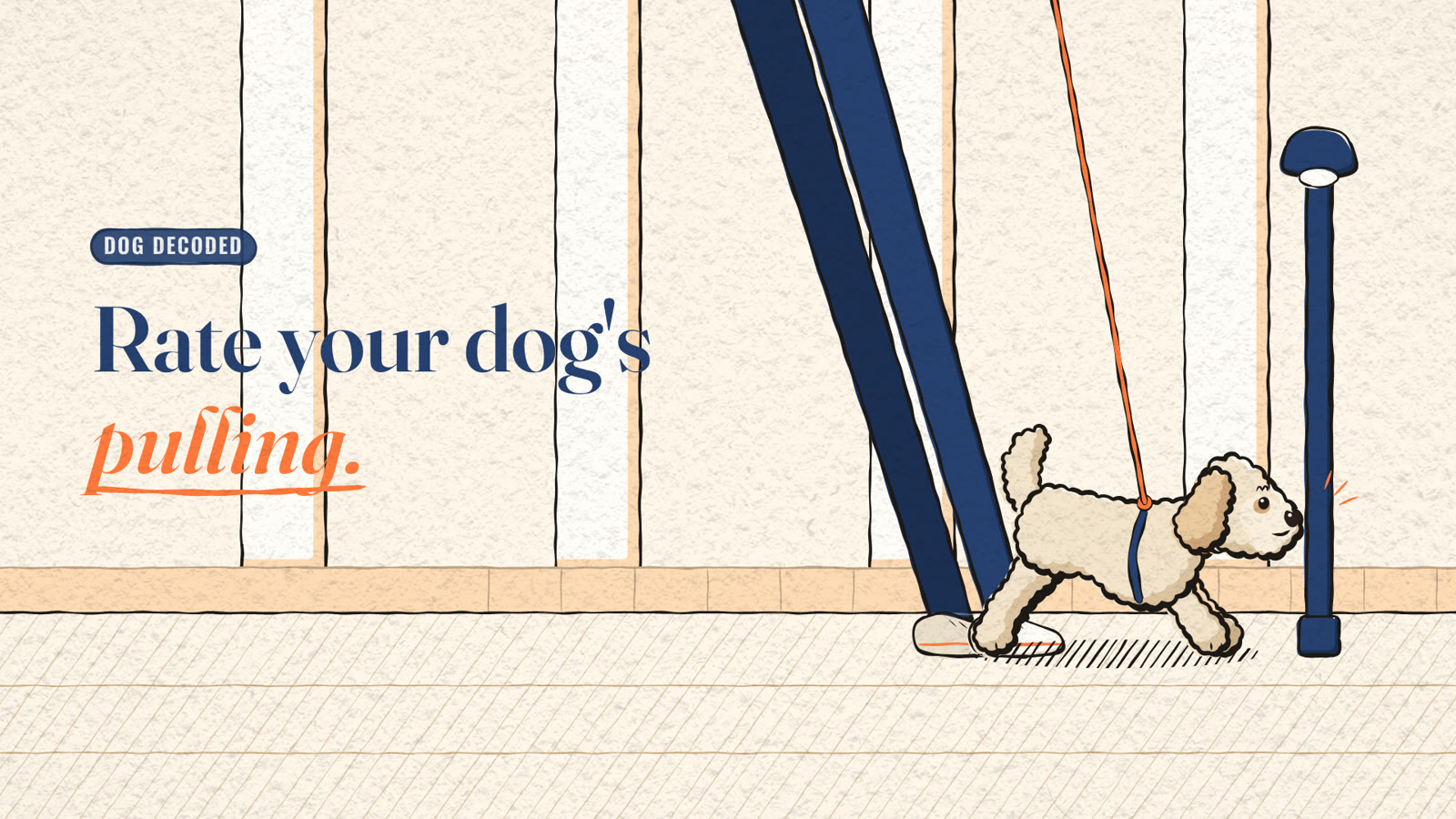 Illustration of a cream Goldendoodle leaning hard into her harness on a taut lead towards a lamp post, beside the headline Rate your dog's pulling.