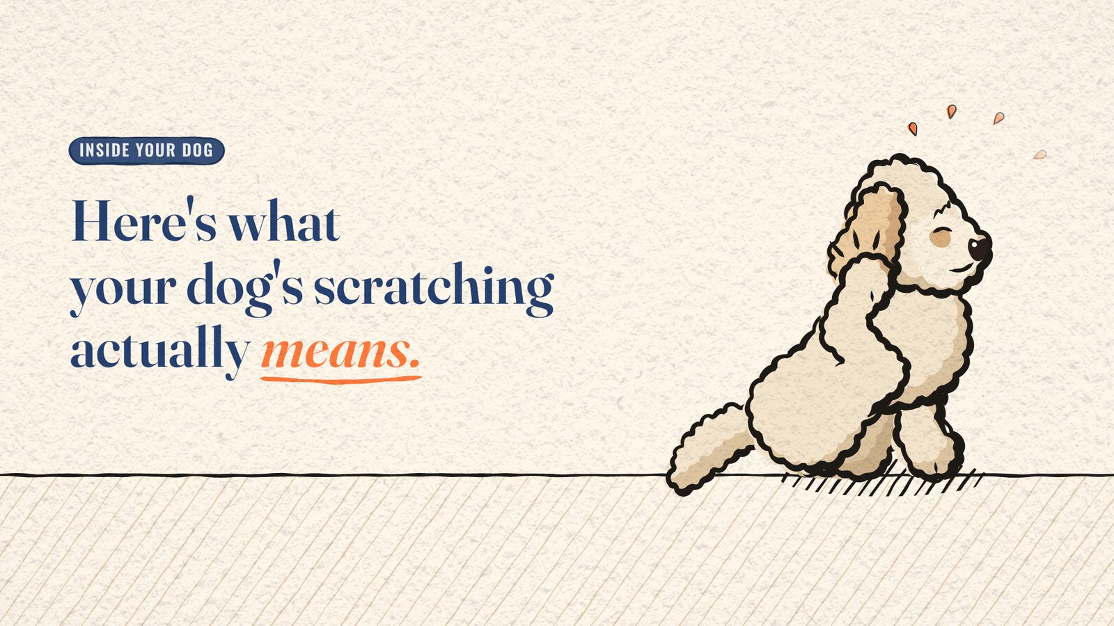 Cartoon Miya the dog scratching her ear, beside the title 'Here's what your dog's scratching actually means.'