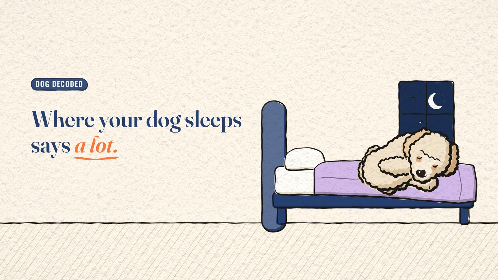 Cartoon Miya the dog curled up asleep on a purple bed under a moonlit window, beside the title 'Where your dog sleeps says a lot.'